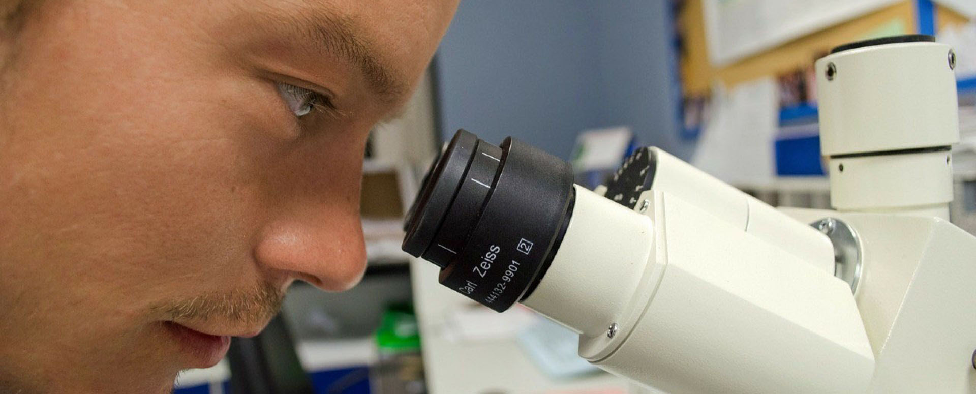 person looking into microscope